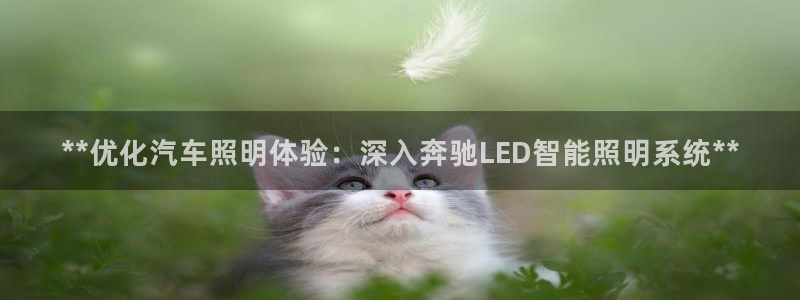 云顶集团网站多少钱一个