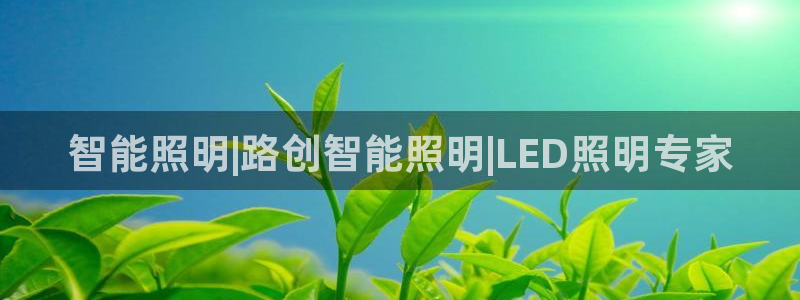 云顶国际城手机网址是什么