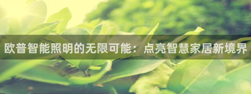 云顶国际有限公司