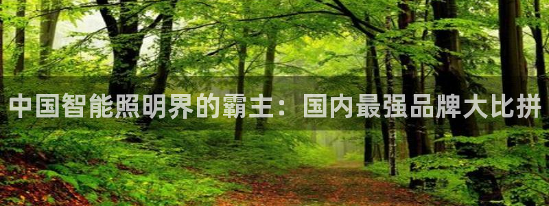 云顶国际是什么公司