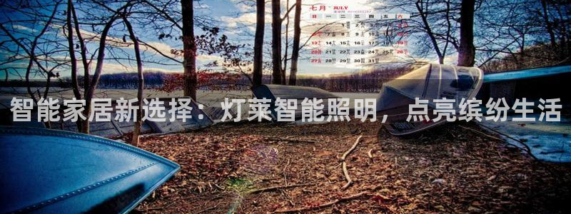 云顶国际服s9赛季什么时候出的