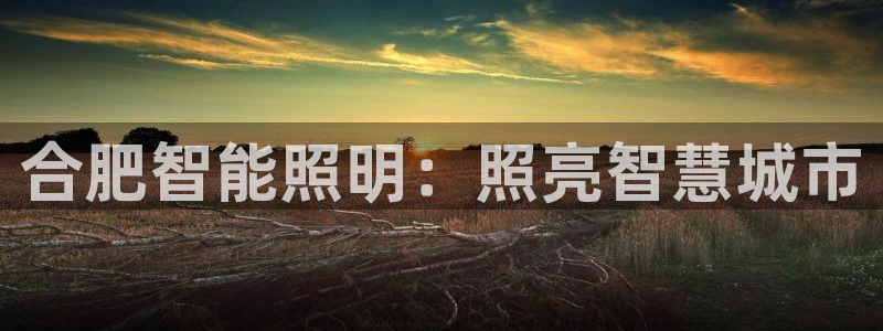 云顶国际版最新版苹果版