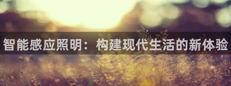 云顶国际网站合法吗