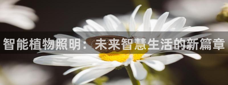 云顶集团游戏入口