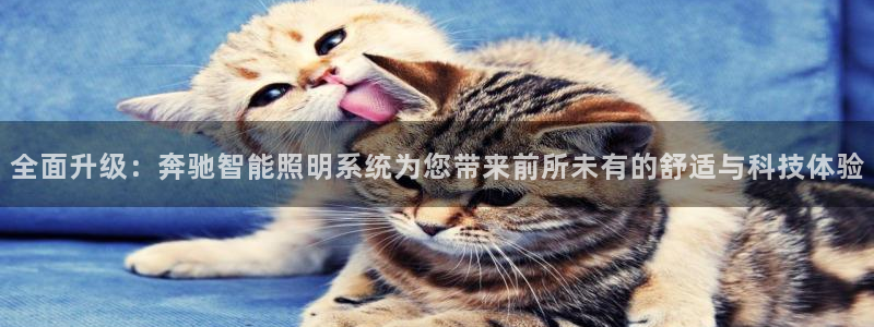 云顶国际贴吧