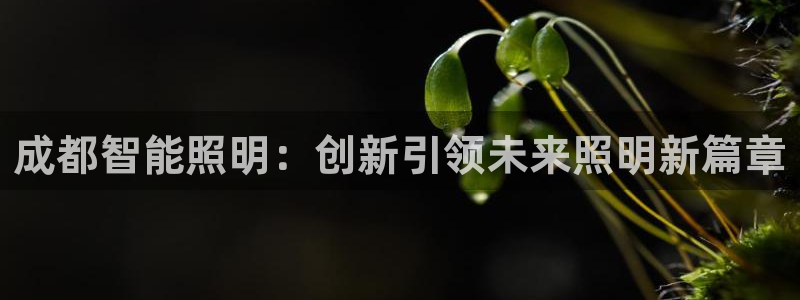 云顶国际在线