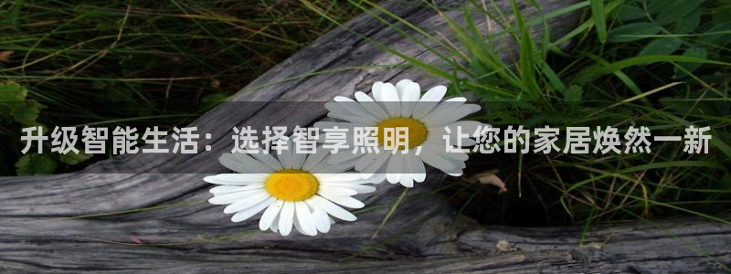 云顶集团有限公司简介电话