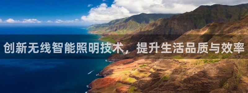 云顶集团有限公司简介图片
