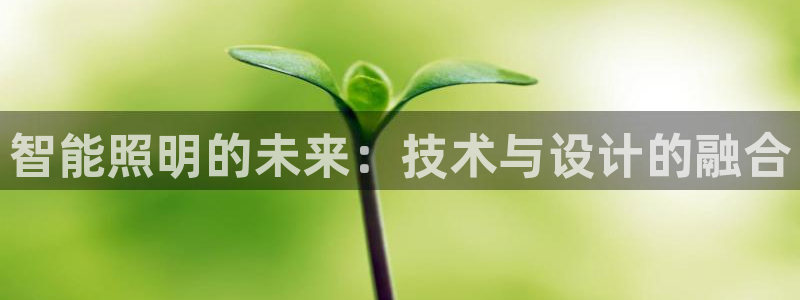 云顶国际版最新版苹果版