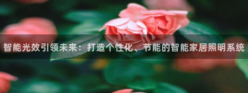 云顶集团董事长林东简历图片