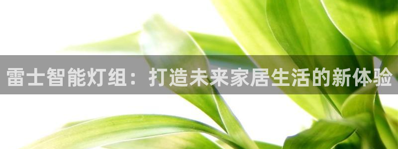 云顶2021