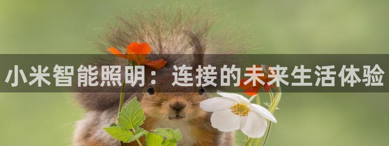 云顶国际是什么公司