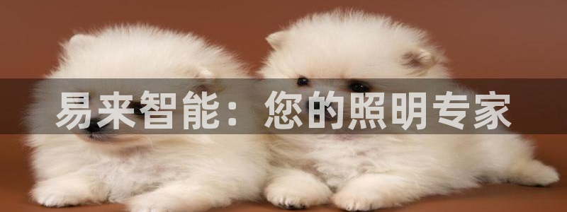 云顶国际集团app