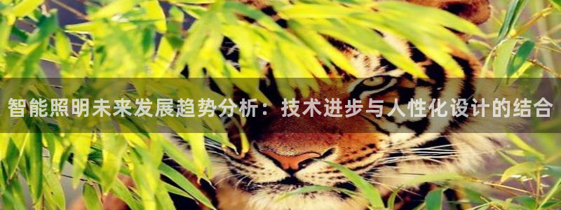 云顶集团3118官网