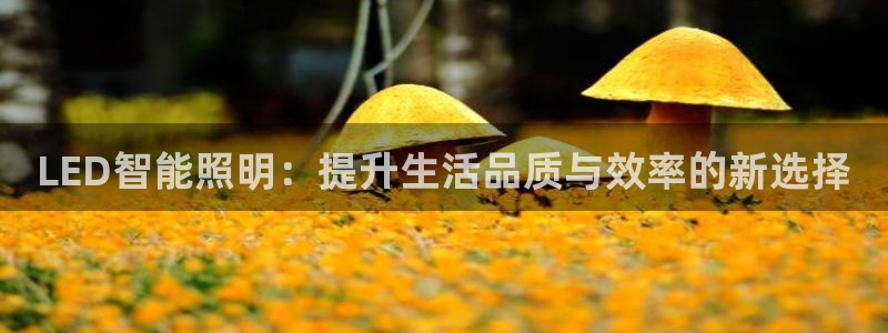 香港云顶集团创始人