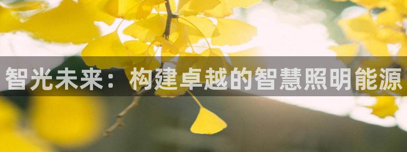 云顶国际app怎么样