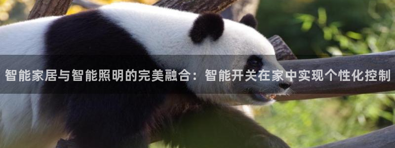 云顶国际装饰设计 宁波