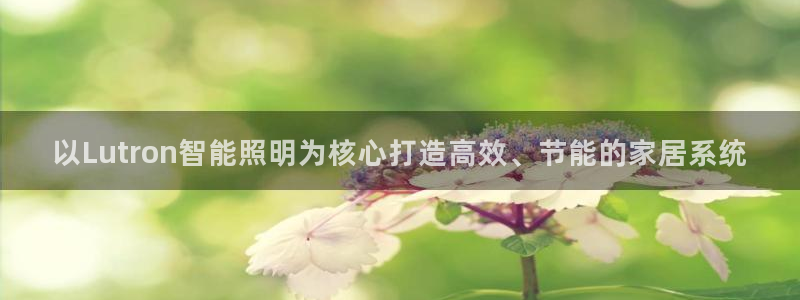 云顶国际app官方下载安装
