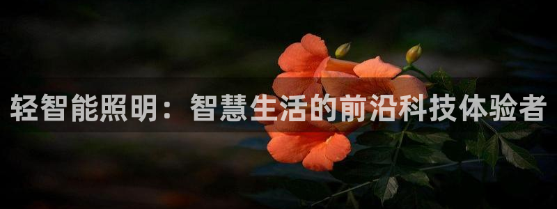 云顶集团官网电话客服