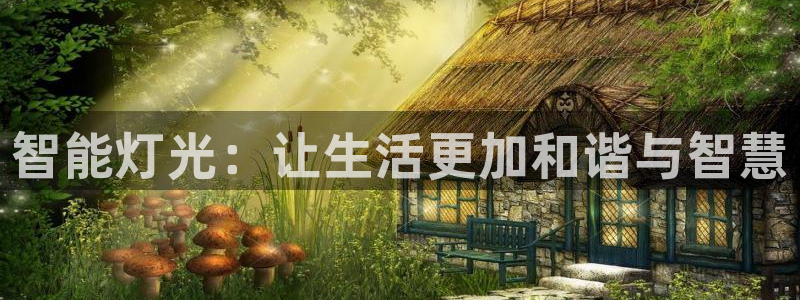 云顶国际集团app