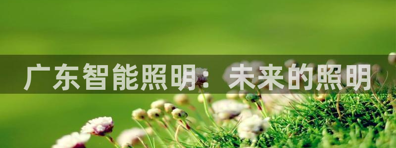 云顶国际平台游戏官网