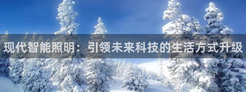 成山路800号(云顶国际商业广场a座101)电话