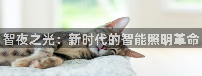 云顶电竞app怎么样