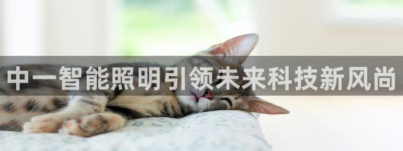 9559云顶国际
