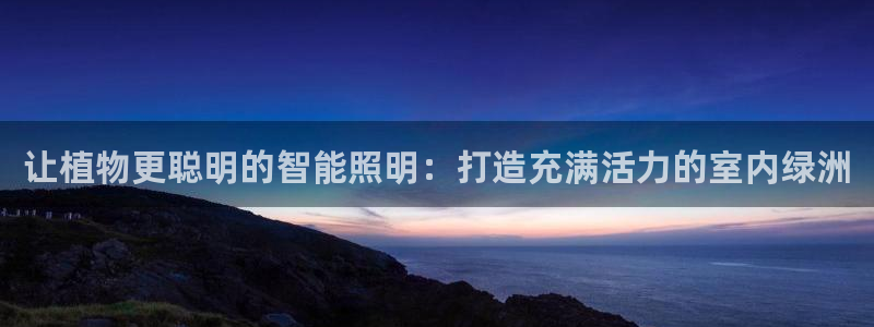 云顶国际app免费下载