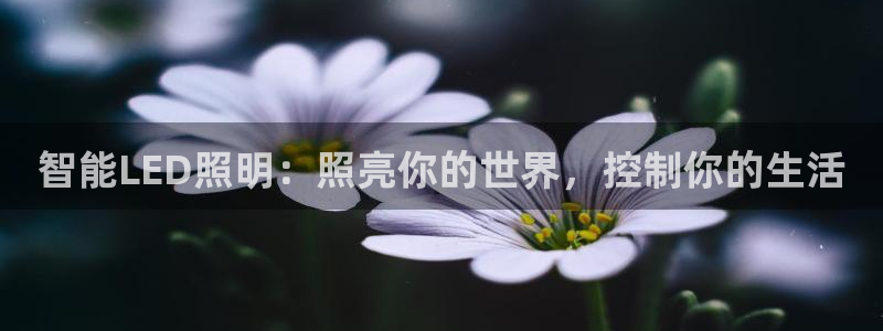 最新版云顶攻略