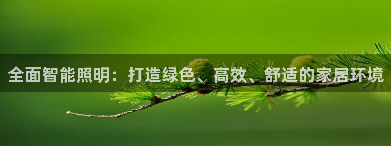 云顶国际官方网站下载安装