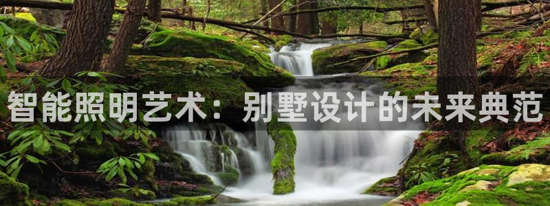 云顶电子游戏app