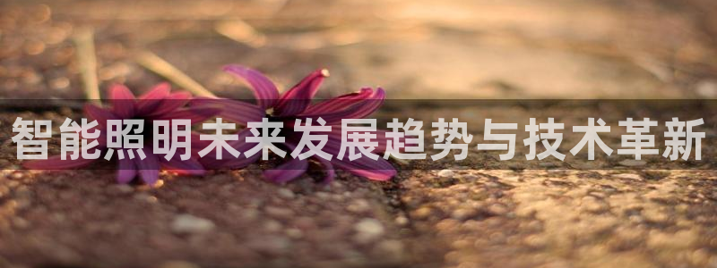 云顶国际集团开发有限公司