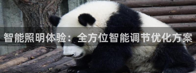 云顶国际二手房出售价格：智能照明体验：全